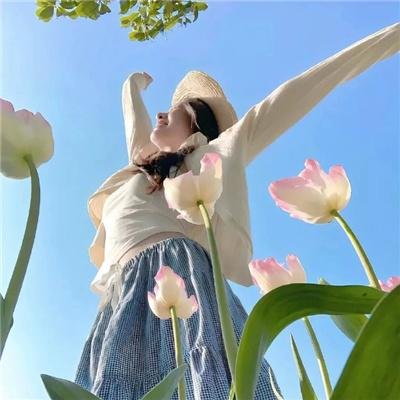 应召男郎第二季